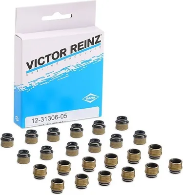 Image de Jeu de joints, tige de soupape REINZ 12-31306-05