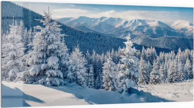 Produktbild von DEQORI Küchenrückwand Glas 100x50 cm 'Karpatenwinter' Spritzschutz Bad Rückwand Küche