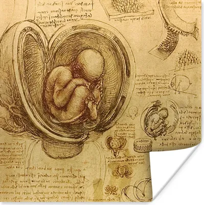 Produktbild von MuchoWow® Poster Leonardo da Vinci 50x50 cm - Wohnzimmerdekoration