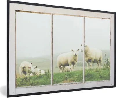 Produktbild von MuchoWow® MuchoWow® Gerahmtes Poster Durchschauen - Schafe - Gras 90x60 cm - Poster mit zchwarzem Bilderrahmen - Fotorahmen - Foto-Plakat