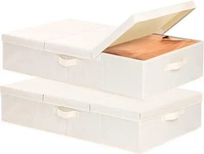 Productafbeelding van Famanu opbergzakken voor kleding en dekens - 2 stuks, 60 x 30 x 15 cm, beige