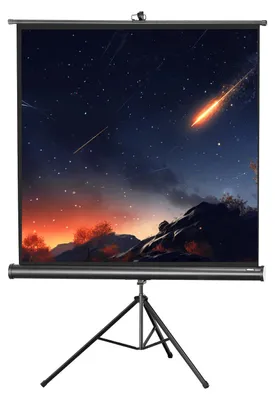 Produktbild von celexon Stativleinwand Economy 219 x 219 cm