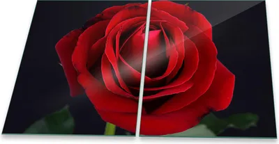 Produktbild von Herdabdeckplatte Glaskeramik 2-Teilig 2x40x52 Rose Rot Abdeckung Spritzschutz Glas