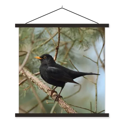 Produktbild von MuchoWow® Textilposter Vogel - Amsel - Zweige - Tiere 120x120 cm mit schwarzem Rahmen - Aufhängungsset