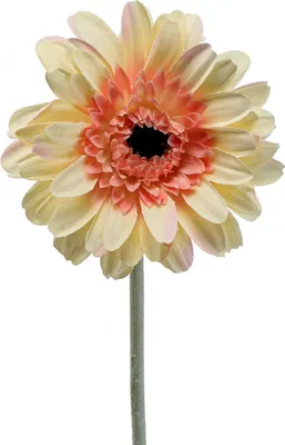 Produktbild von Kunstblume Gerbera für Dekoration und Gestecke