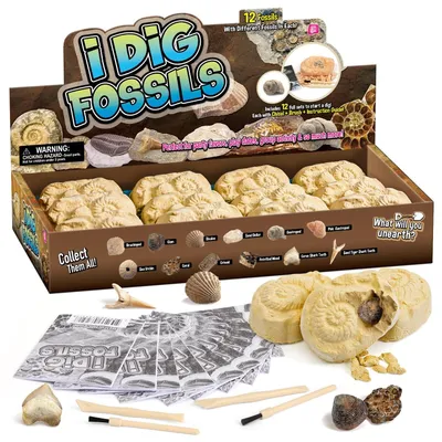 Produktbild von Fossilien Ausgrabungsset - 12 Echte Fossilien - Archäologie Spielzeug - Ausgrabungsset für Kinder - Geschenkideen - Inklusive Pinsel/Meißel - Ausgrabungsset