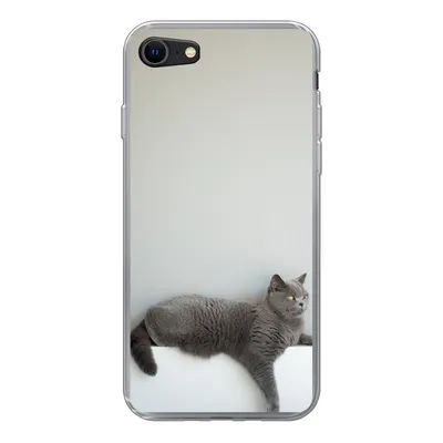 Produktbild von MuchoWow® Handyhülle Schutzhülle Hülle für iPhone 8 Katze - Britisch Kurzhaar - Grau - Mädchen - Kinder - Jungen - Kinder Silikon Softcase Handy Hülle - Schutzhaube