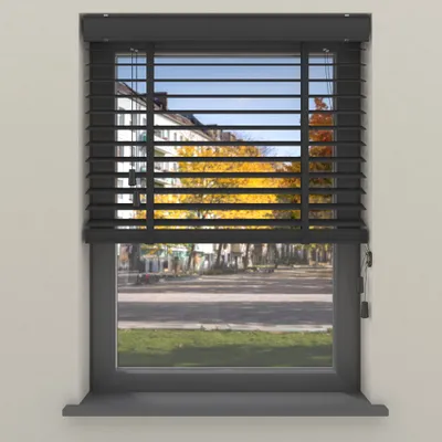 Produktbild von Cocoon Bambus Jalousien 180 x 175 cm - 50 mm Lamellen für Innen - Schwarz