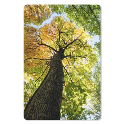 Produktbild von MuchoWow® Mauspad Mousepad Baum - Natur - Wald 40x60 cm - Mousepads - Maus Mat - Pad - Mausunterlage - Schreibtisch Accesoire