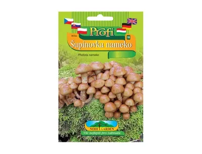 Image de Nohel Garden Plantation Ecailles nameko