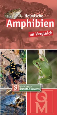 Obrázek produktu pro Heimische Amphibien im Vergleich