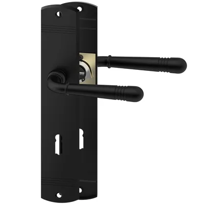A black door handle set with a backplate, shown against a white background.