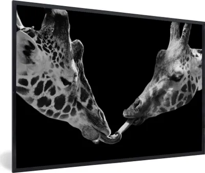 Produktbild von MuchoWow® Gerahmtes Poster Tiere - Schwarz - Giraffe - Weiß - Porträt 90x60 cm - Poster mit Schwarzem Bilderrahmen Wandposter Rahmen Foto Bilder - Fotorahmen - Foto-Plakat