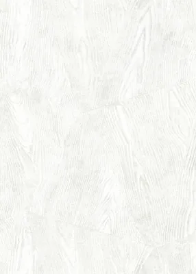 Produktbild von Erismann Vliestapete Holz grau 10,05 x 0,53 m