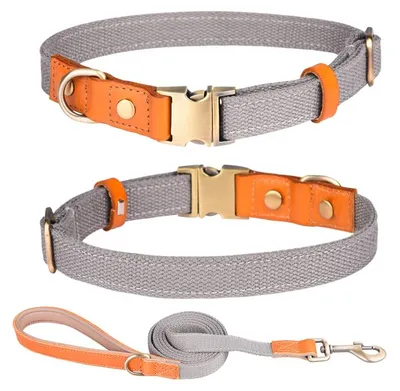 Nylon Hundehalsband mit Leine, verstellbar, M, Grau