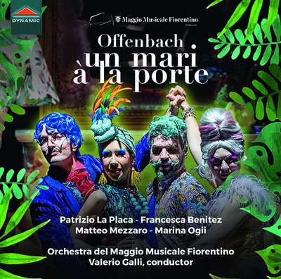 Obrázek produktu pro Jacques Offenbach (1819-1880): (CD / Název: H-Z)