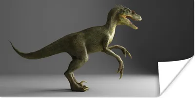 Produktbild von MuchoWow® Poster Velociraptor - Dinosaurier - Grau 40x20 cm - Poster für die Wand - Poster Schlafzimmer