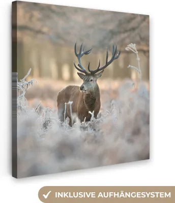 Produktbild von MuchoWow® - Leinwandbilder - Hirsche - Tiere - Winter, Wandbild, Wanddeko Bilder Wohnzimmer, 20x20 cm