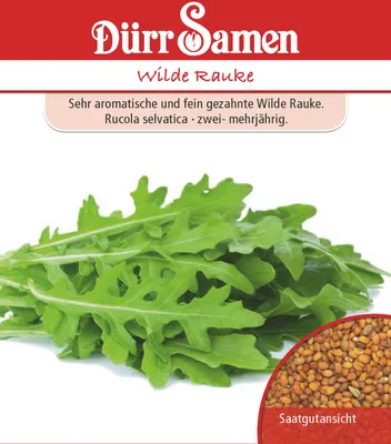 Artikelbild 1 von 'Wilde Rauke' aus der Kategorie Rucola- / Raukesamen