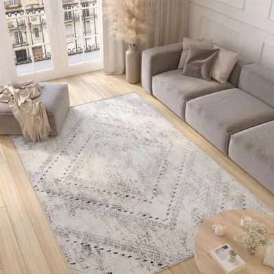 A living room scene with a sofa, rug, ottoman, and coffee table.