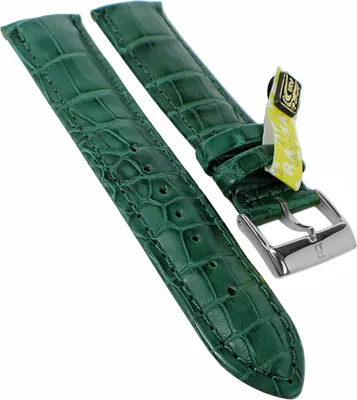 Produktbild von BARINGTON LOUISIANA Uhrenarmband | echt Krokoleder | grün 35353, Stegbreite:18mm, Schließe:Silbern