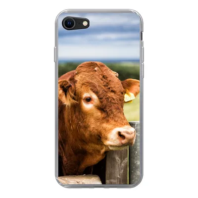 Produktbild von MuchoWow® Handyhülle Schutzhülle Hülle für iPhone 7 Schottischer Highlander - Berg - Zaun Silikon Softcase Handy Hülle - Kartenhalter