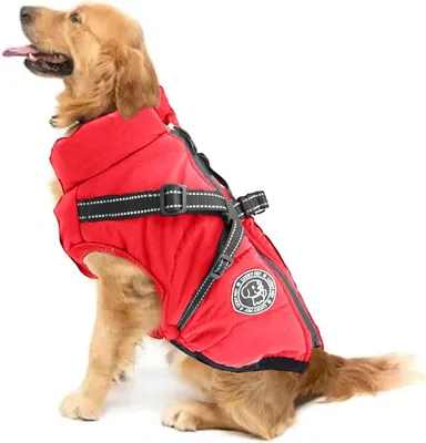 Productafbeelding van Hondenjas waterdicht, voor kleine honden, met tuig, winterjas