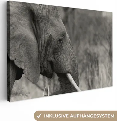 Produktbild von OneMillionCanvasses® - Leinwandbilder - 140x90 cm, Elefant - Tiere - Schwarz - Weiß, Wandbilder Kunstdruck Wanddekoration