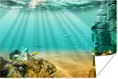 Produktbild von MuchoWow® Poster Meer - Fisch - Wasser 30x20 cm - Plakate - Print