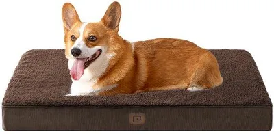 Image de Lit orthopédique pour chiens de taille moyenne, 89 x 58 x 9 cm, lavable, coussin moelleux, matelas pour canapé, marron