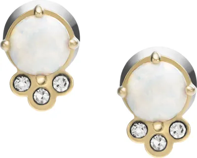Produktbild von Fossil Jewelry VAL JF03876710 Ohrringe