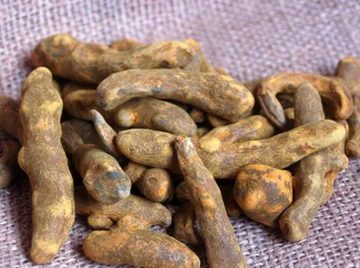 Produktbild von Krauterino24 - Kurkumawurzel ganz | Menge: 500g
