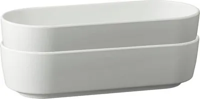 Zdjęcie produktu dla APS Scantic Schale, Inhalt: 1,00 Liter, Höhe: 65 mm, Länge: 265 mm