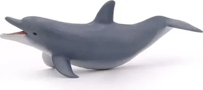 A toy dolphin on a white background.