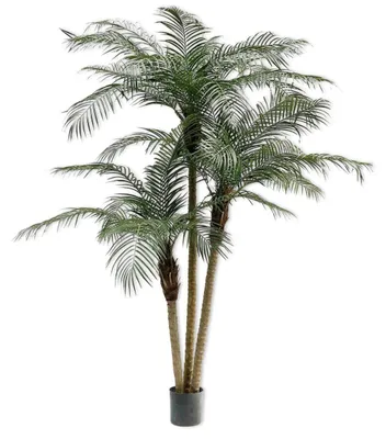 Produktbild von Silk-ka Künstliche Zimmerpflanze Palme Phoenix Grün 183 cm