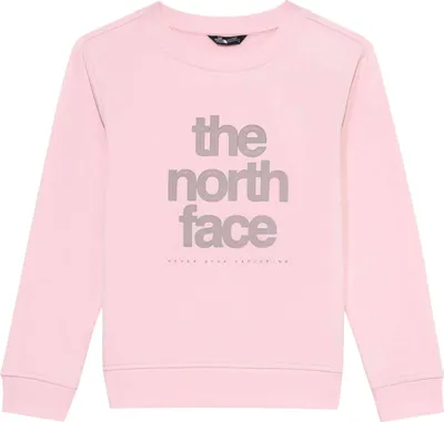 Obrázek produktu pro Mikina The North Face 077-52576934527315 pro Pánské
