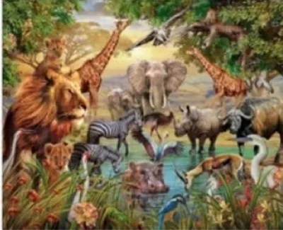Productafbeelding van Diamantmozaïek: Wilde dieren
