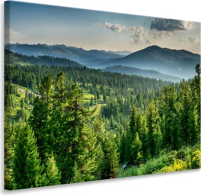 Produktbild von Muralo Leinwandbild Wandbild Canvas WALD Bäume See Himmel Berge Natur Landschaft 3D 70 cm x 50 cm