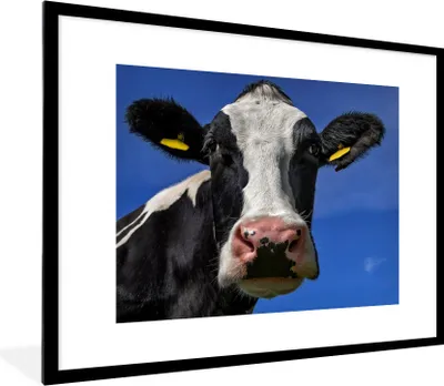 Produktbild von MuchoWow® Gerahmtes Poster Kuh - Blau - Tiere 80x60 cm - Poster mit Schwarzem Bilderrahmen Wandposter Rahmen Foto Bilder - Schlafzimmer-Dekorationen - Fotoposter