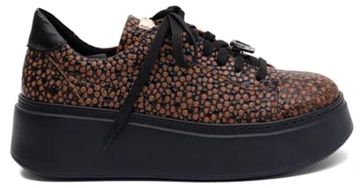 Immagine prodotto di Scarpe Maciejka 6191W16008XXA