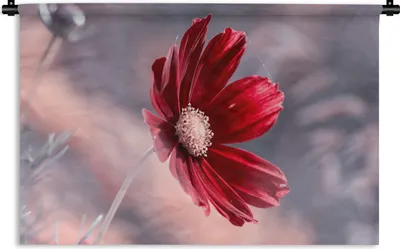 Produktbild von MuchoWow® Wandteppich Wandbehang Blumen - Rot - Natur - Pflanzen 120x80 cm Tapisserie Dekoration Wandtuch - Wanddekorationen - Wandtücher