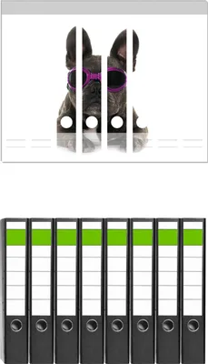 Produktbild von Wallario 8 Stück schmale Ordner inkl. Klebeetiketten mit Motive Cooler Hund mit Sonnenbrille in pink - Französische Bulldogge -  Set mit Rückenschildern / Ordnerrücken Stickern