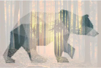 Produktbild von Digitaldruck-Tapete Bear Forest 2 Architects Paper (1031794)