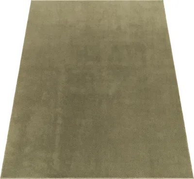 Produktbild von Moderner Wohnzimmer Teppich Kurzflor Waschbar Weich Felloptik Anti-Rutsch Grösse 160x220 cm
