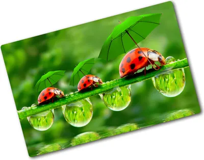 Produktbild von Tulup Glas Herdabdeckplatte - 80x52 cm - Glaskeramikkochfeld-Abdeckung Spritzschutz Glasabdeckplatte - Einteilig - Tiere - Marienkäfer - Grün