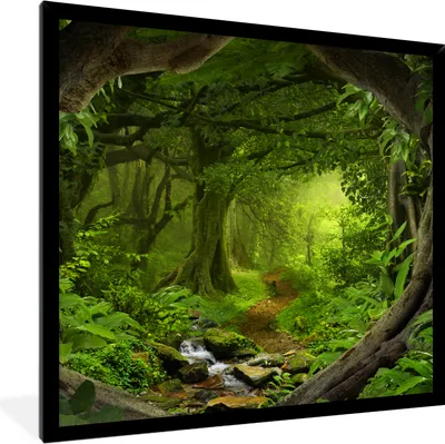 Produktbild von MuchoWow® Gerahmtes Poster Dschungel - Grün - Natur - Tropisch - Pflanzen 40x40 cm - Poster mit Schwarzem Bilderrahmen Wandposter Rahmen Foto Bilder - Mit Rahmen - Wanddekoration Schlafzimmer