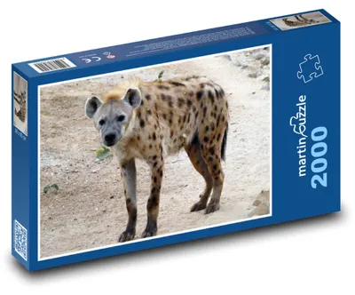 Obrázek produktu pro martinpuzzle - Puzzle 2000 - Hyena