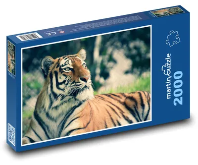 Obrázek produktu pro martinpuzzle - Puzzle 2000 - Tygr usurijský
