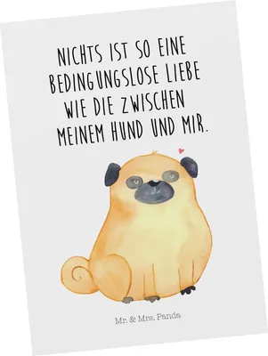 Produktbild von Mr. & Mrs. Panda Ansichtskarte Mops - Weiß - Geschenk, Hund, Sprüche, Pure Liebe, Ansichtskarten, Kunstkarten, Grußkarte, Postkarte, Postkarten, Knuffig