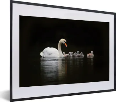 Produktbild von MuchoWow® MuchoWow® Gerahmtes Poster Vögel - Schwan - Küken 40x30 cm - Poster mit zchwarzem Bilderrahmen - Bilderrahmen - Poster im Rahmen